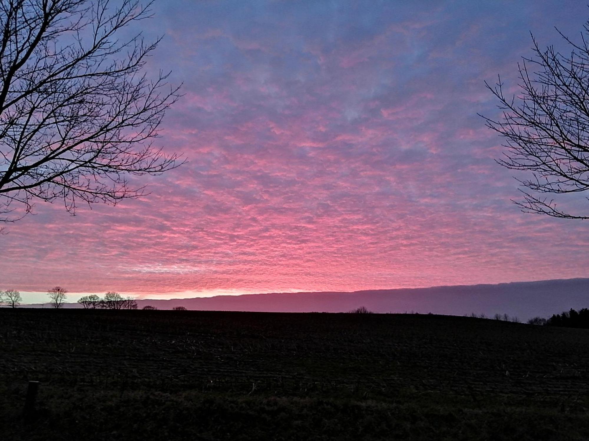 Billund Countryside Appartement Give ภายนอก รูปภาพ